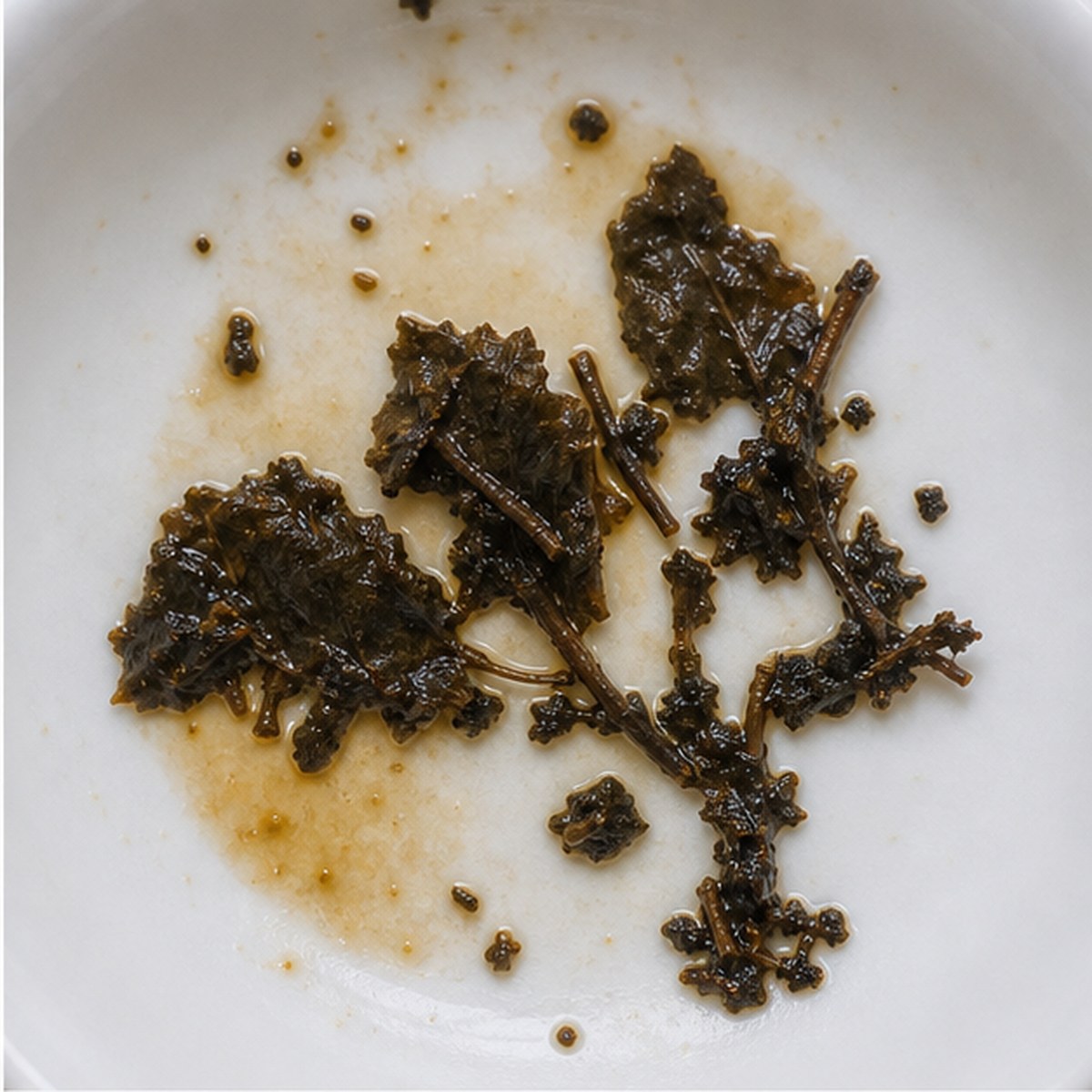 Seakale tea leaves cup variation one