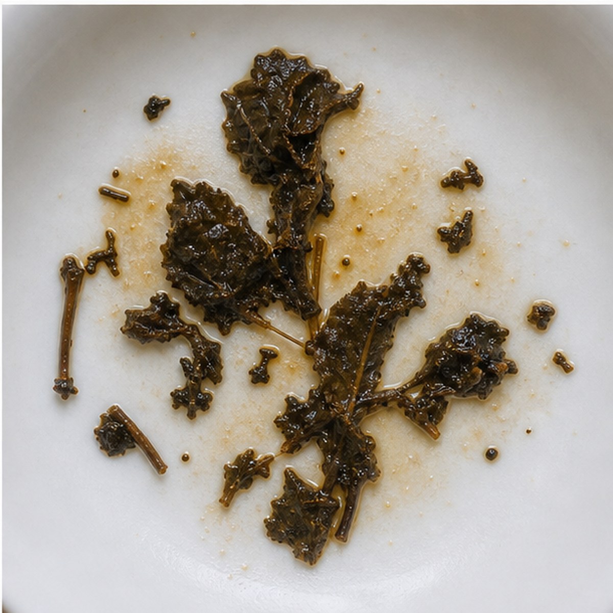Seakale tea leaves cup variation three