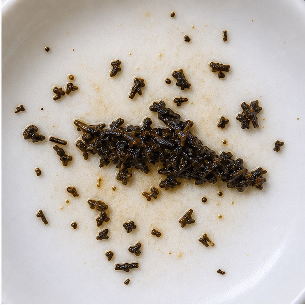 Shark tea leaves cup variation one