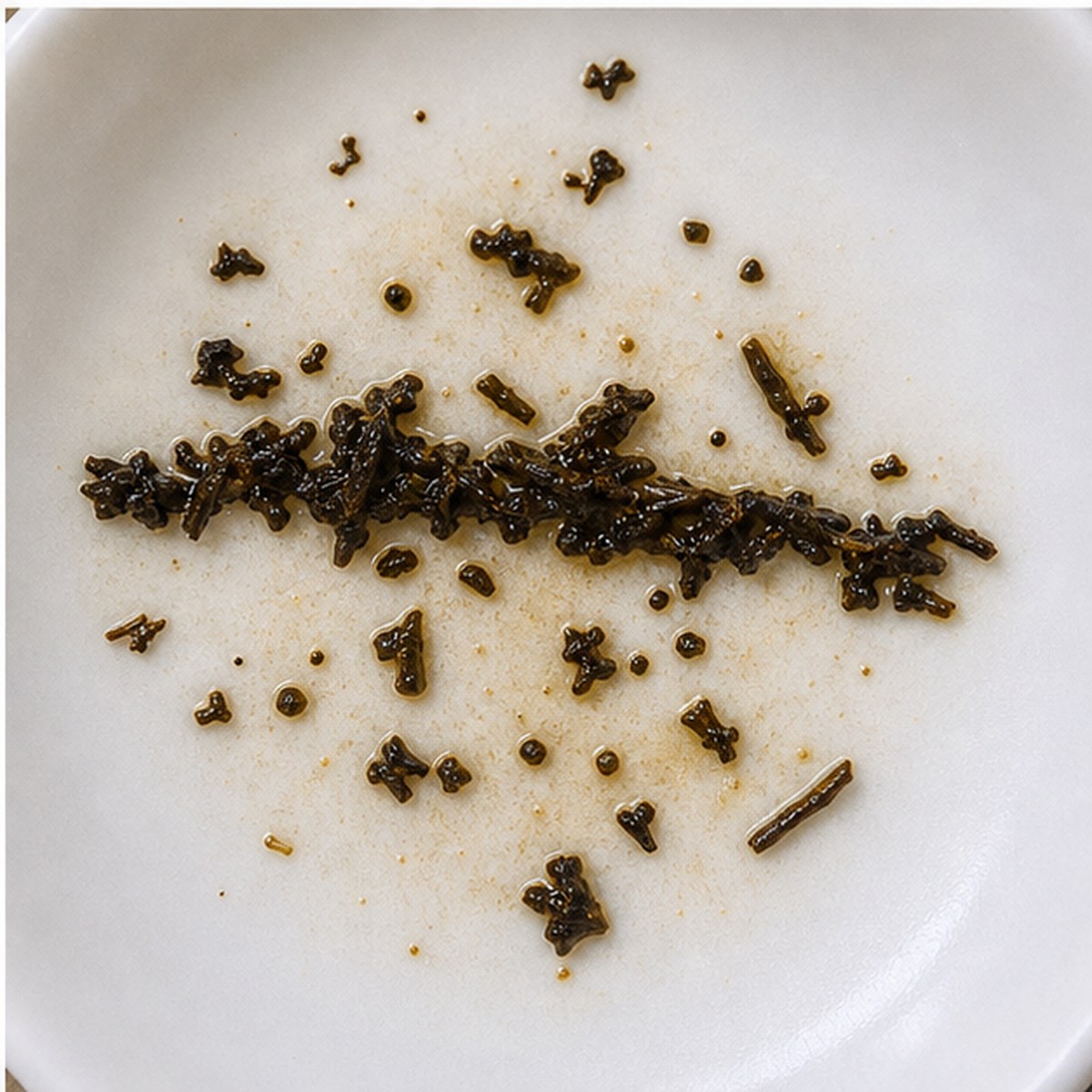 Shark tea leaves cup variation three