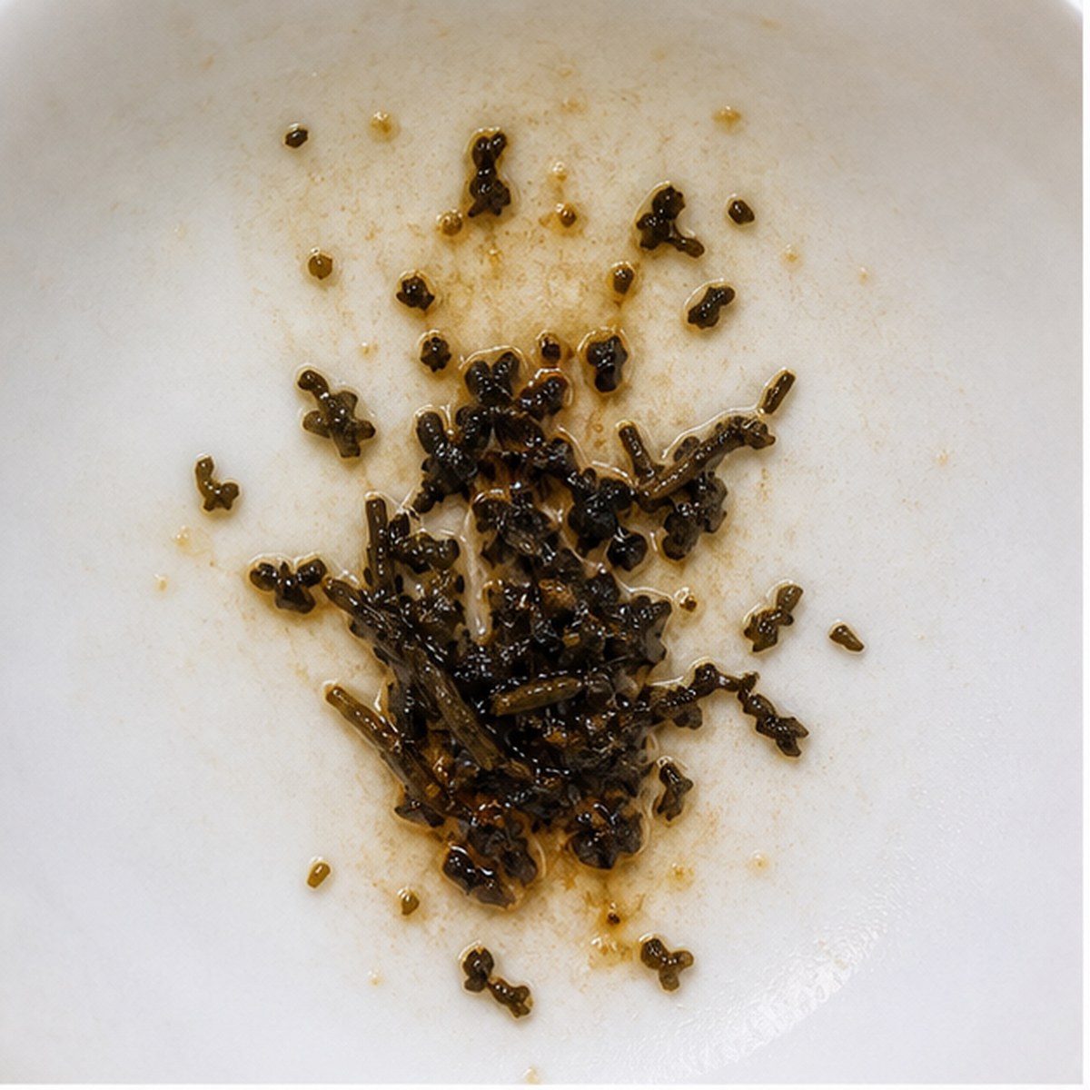 Shaving-Brush tea leaf reading cup example