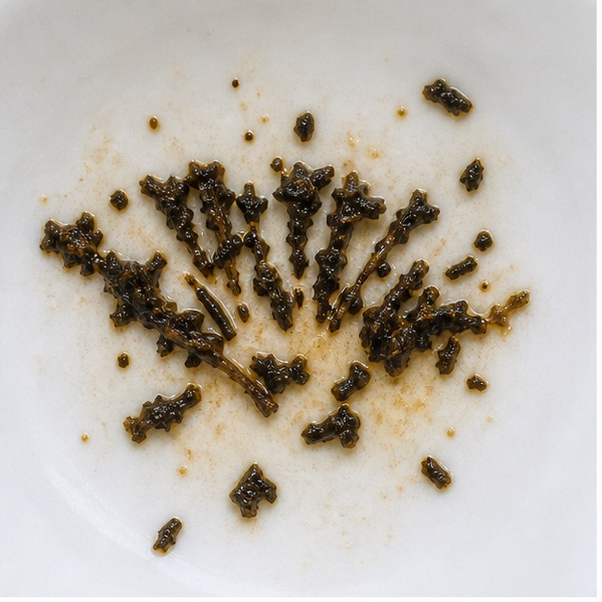 Shell tea leaf reading cup example