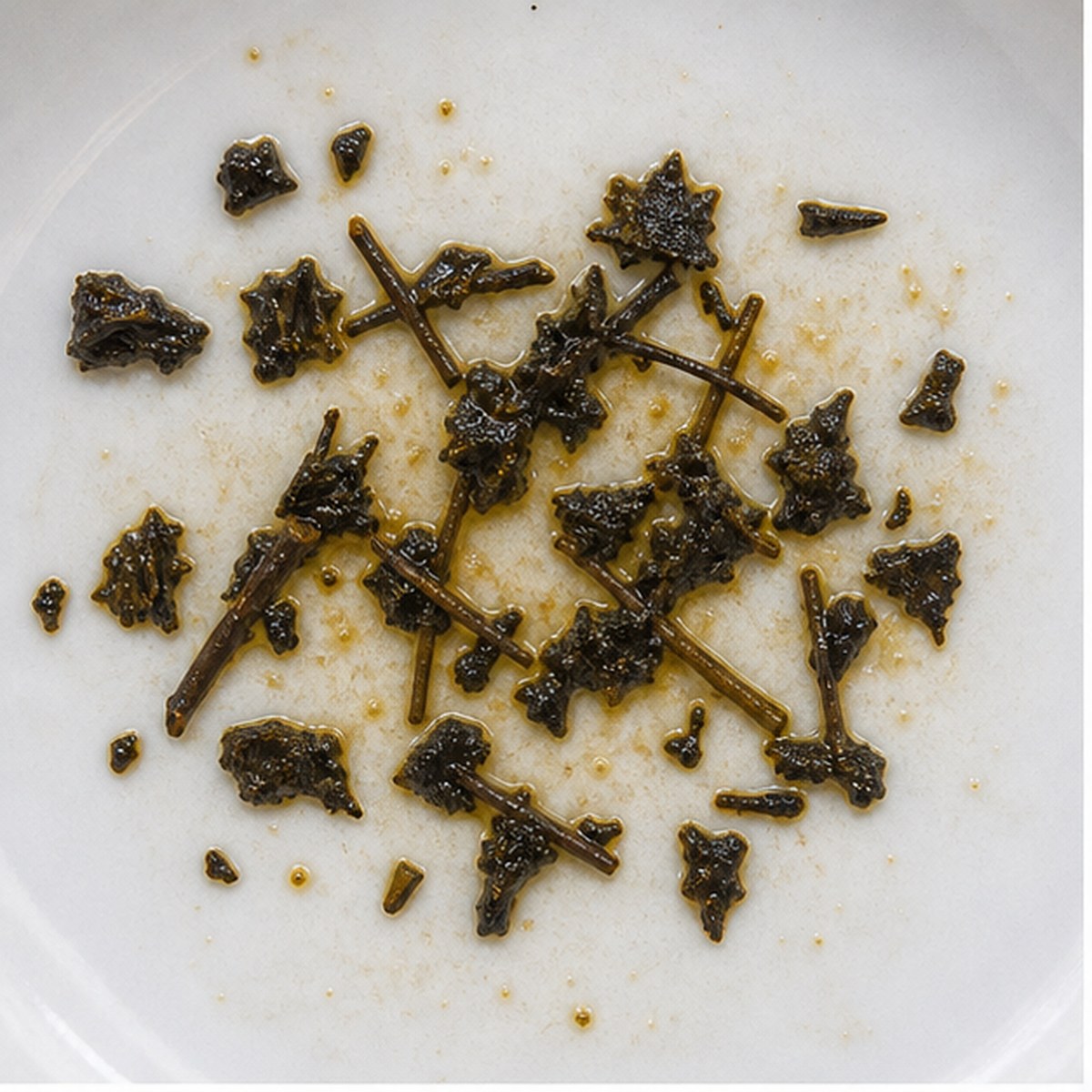 Shrimping Net tea leaf reading cup example