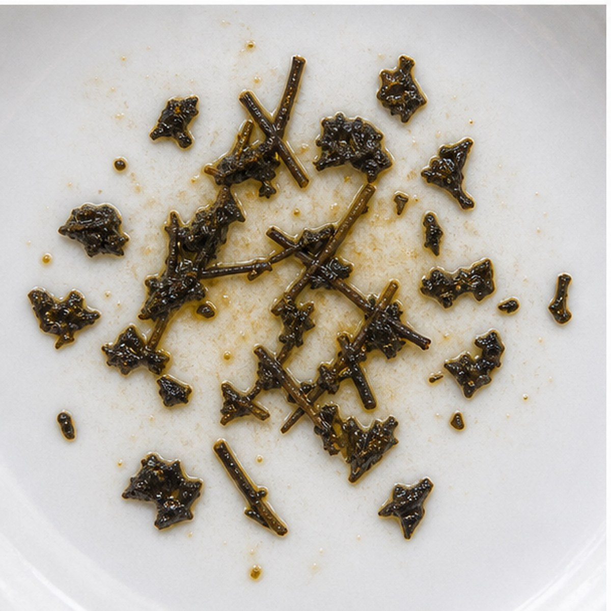 Shrimping Net tea leaves cup variation two
