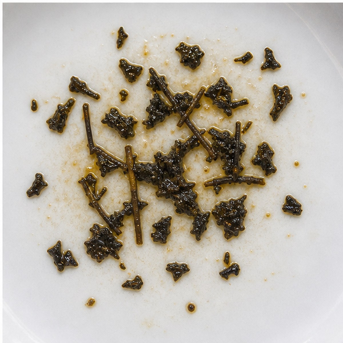 Shrimping Net tea leaves cup variation three