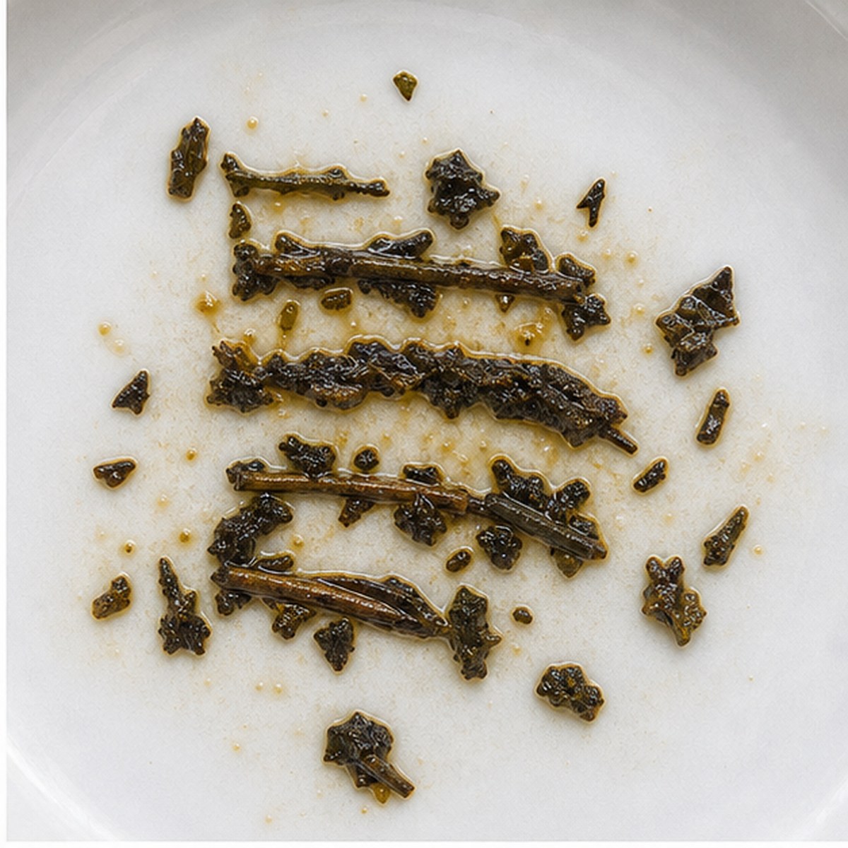 Shutters tea leaves cup variation one