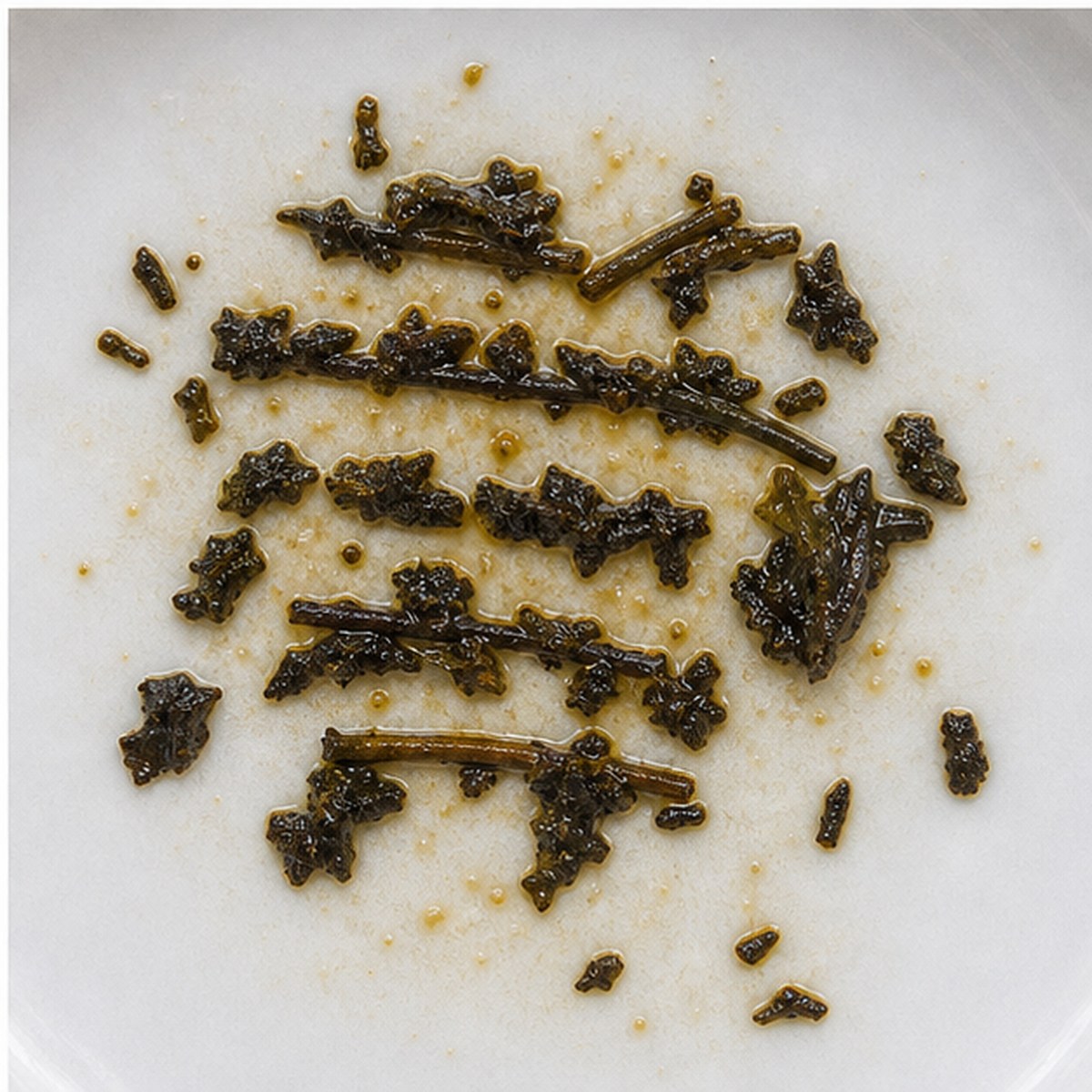 Shutters tea leaves cup variation three