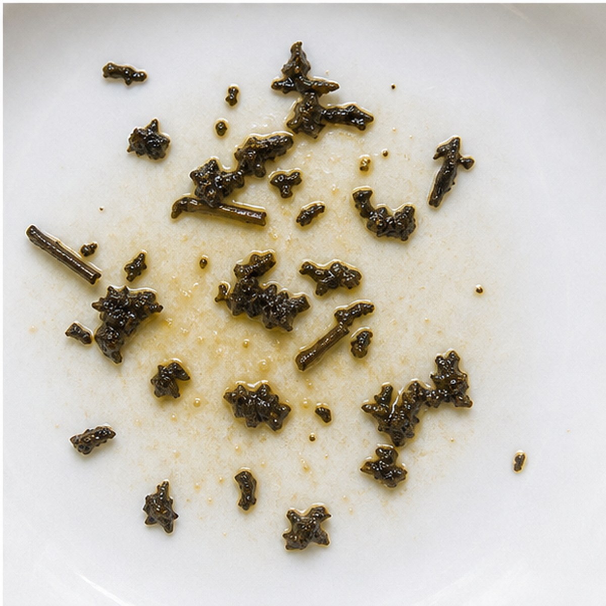 Signpost tea leaves cup variation three