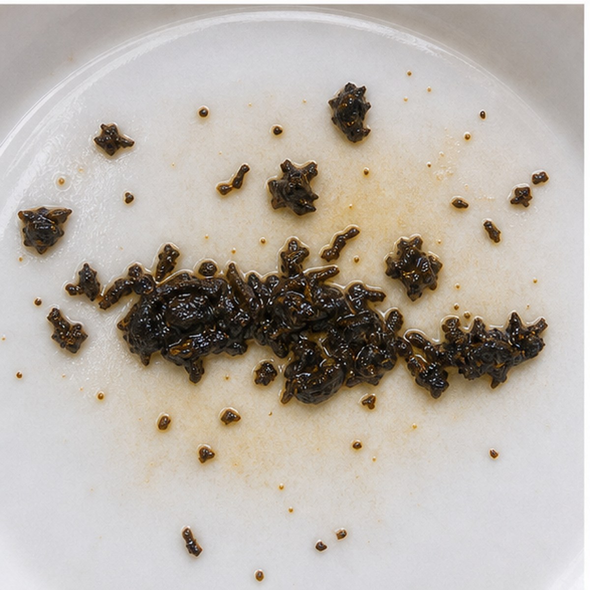 Slug tea leaves cup variation two