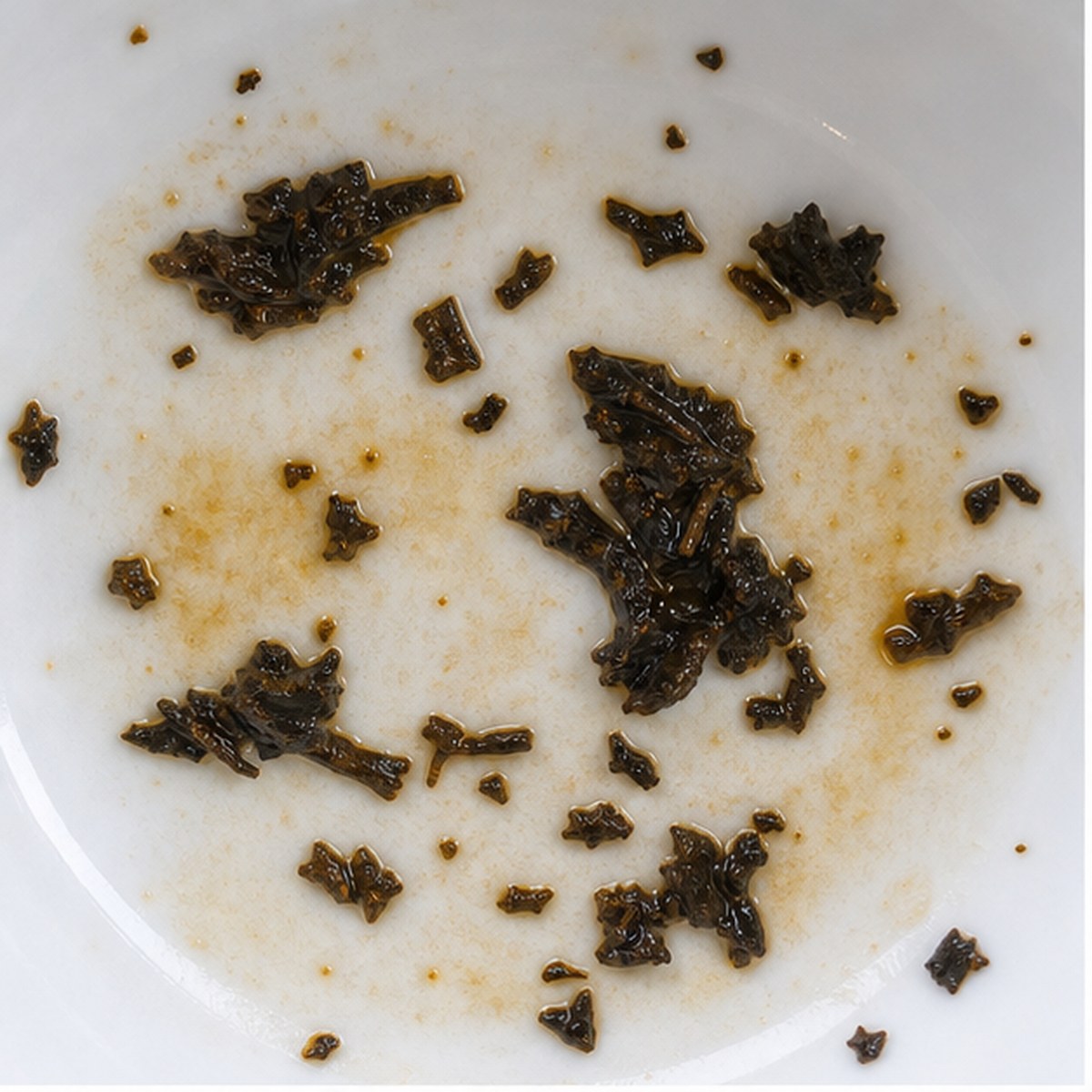 Snail tea leaf reading cup example