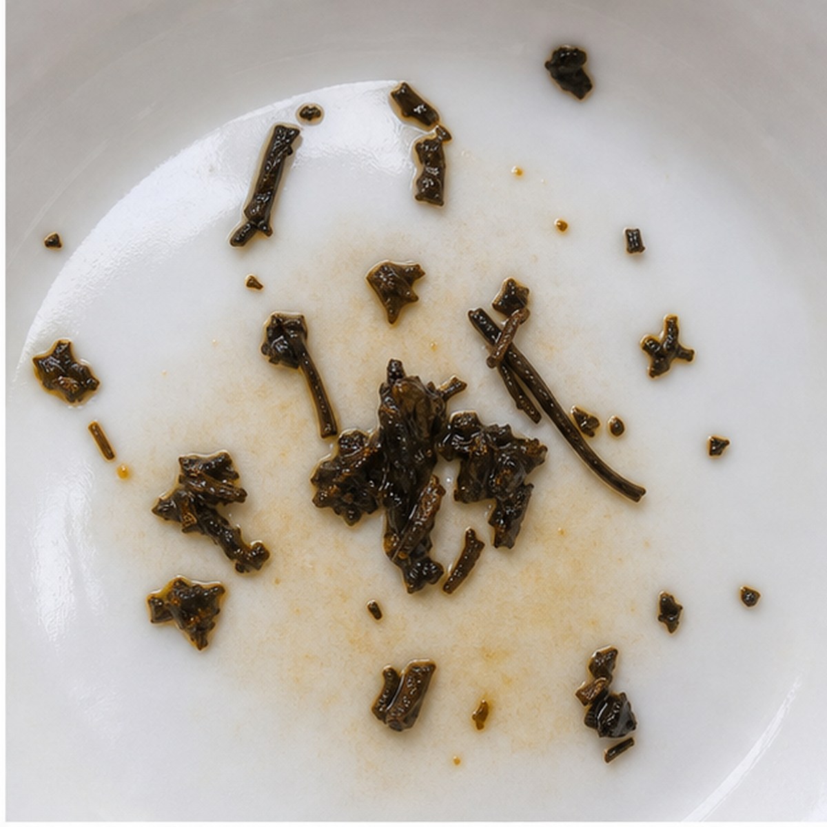 Snail tea leaves cup variation one