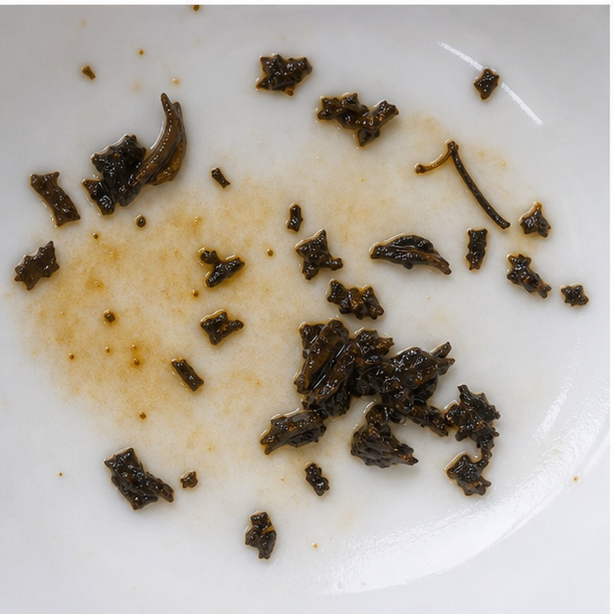 Snail tea leaves cup variation two