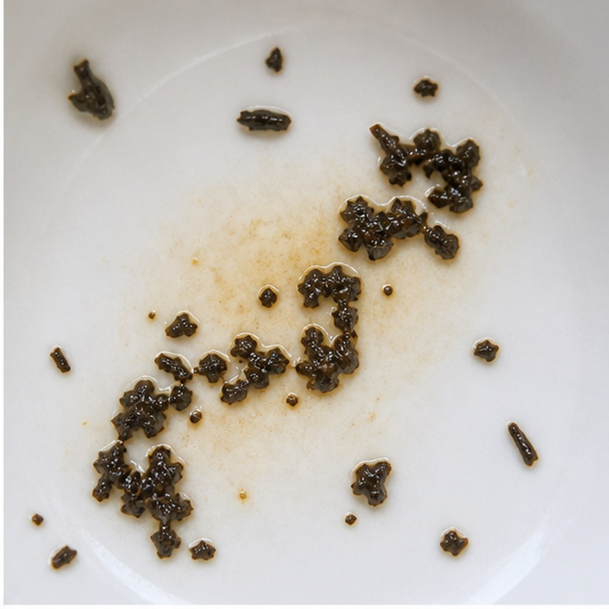 Snake tea leaves cup variation one