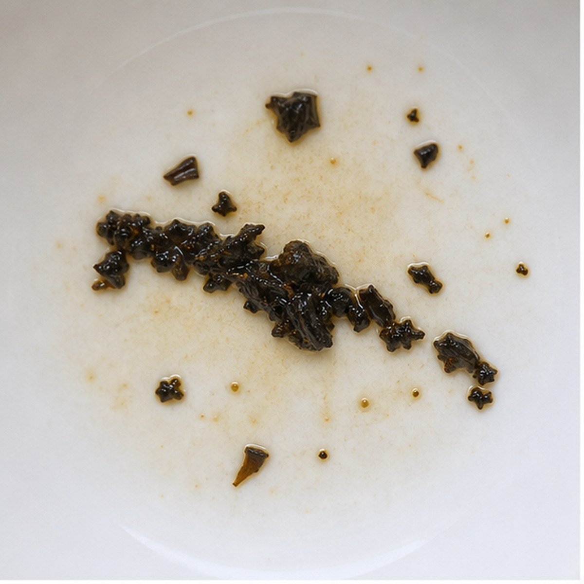 Snipe tea leaf reading cup example