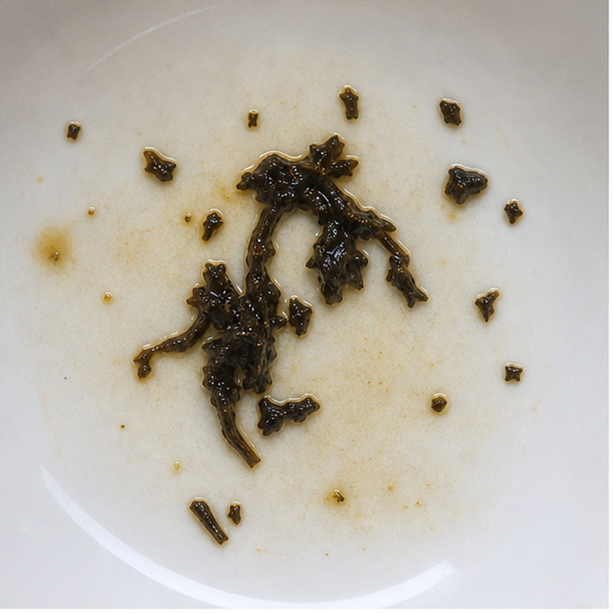 Snowdrops tea leaf reading cup example