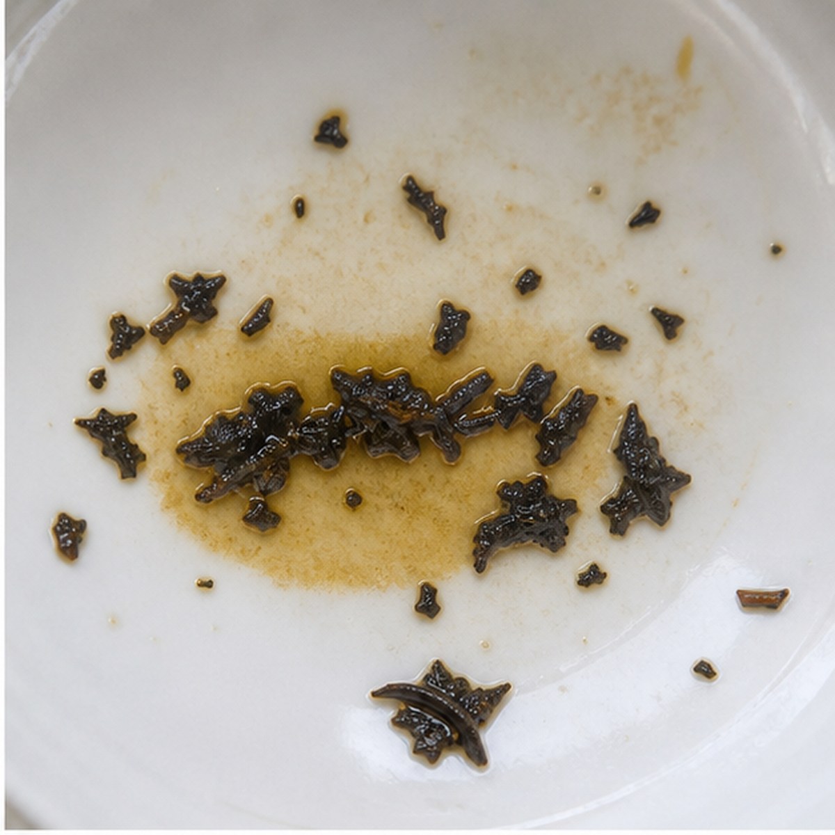 Soap tea leaves cup variation one
