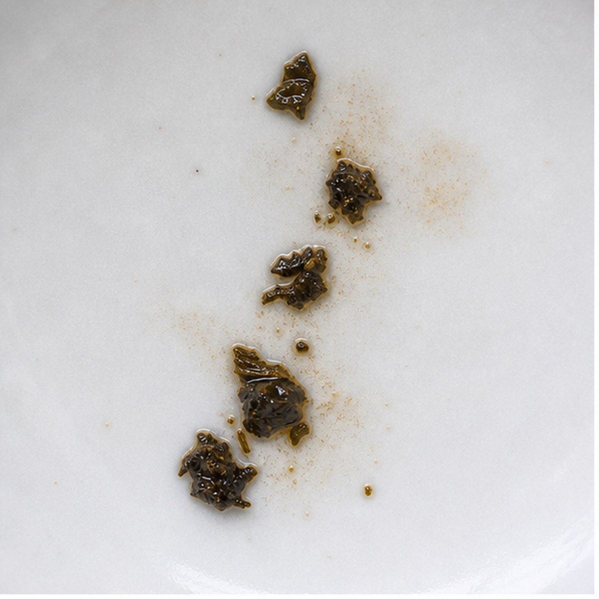 Solomon'S Seal tea leaf reading cup example