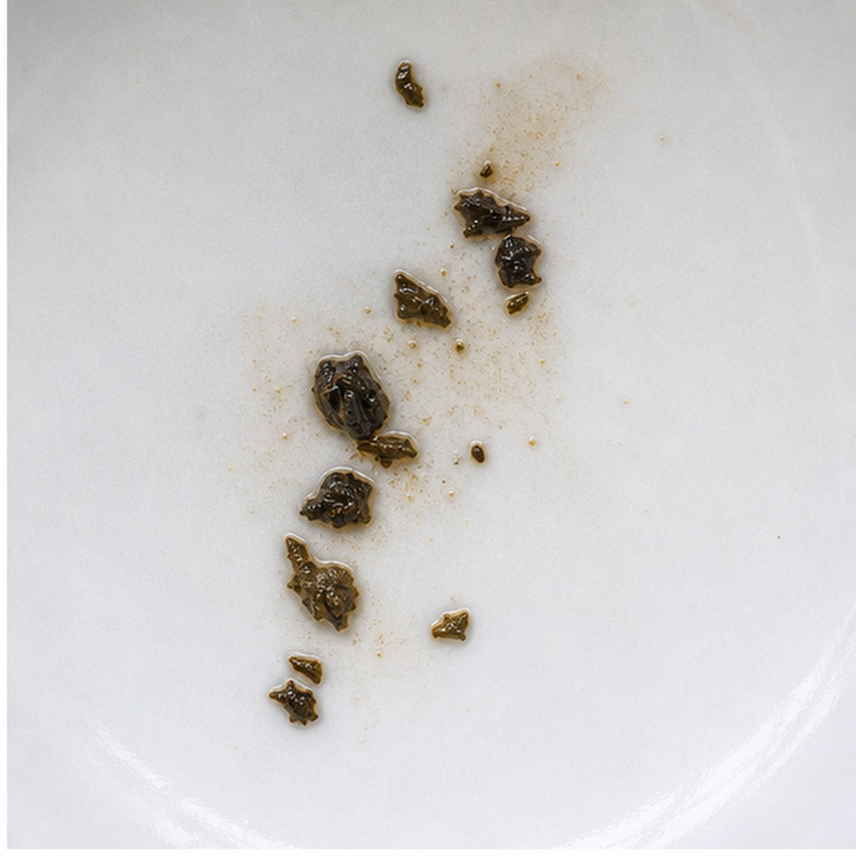 Solomon'S Seal tea leaves cup variation one