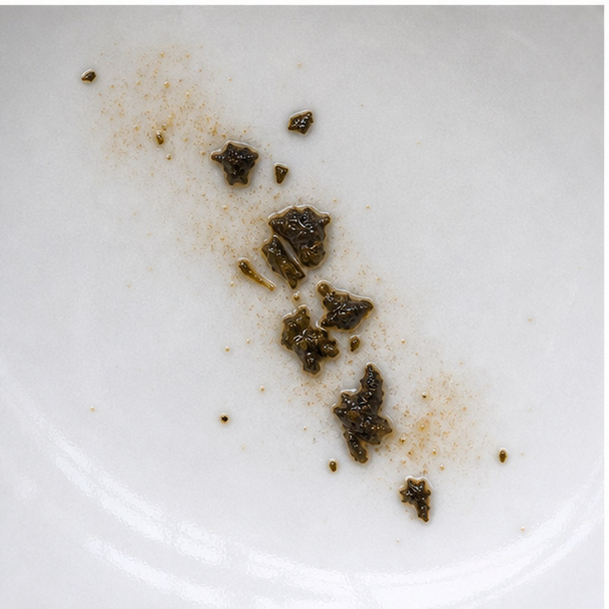 Solomon'S Seal tea leaves cup variation two