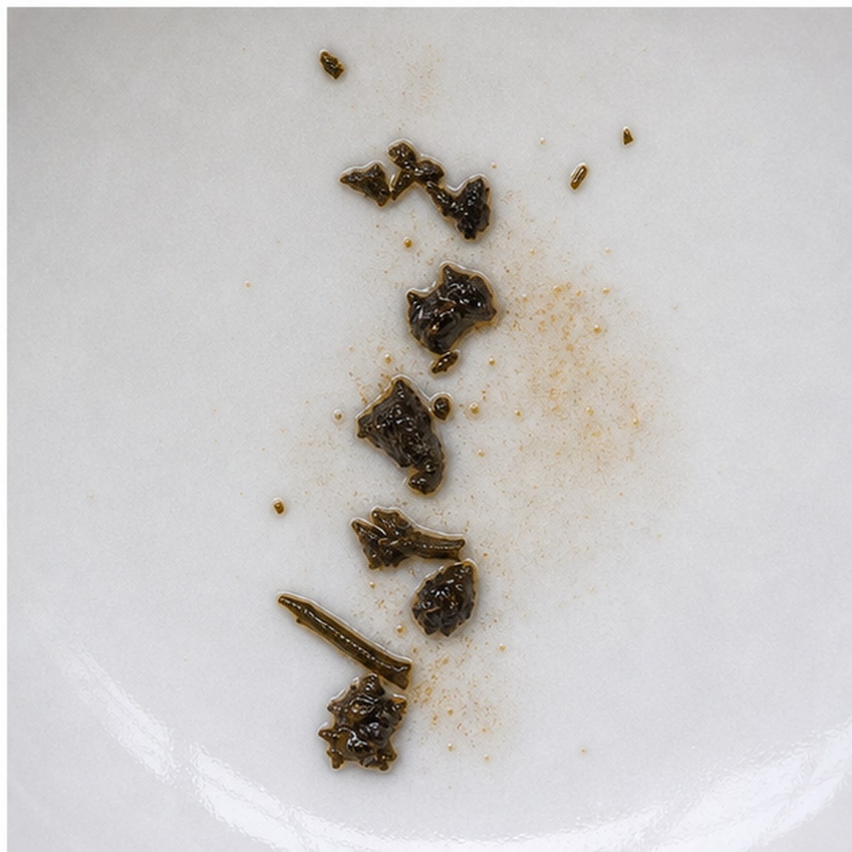 Solomon'S Seal tea leaves cup variation three