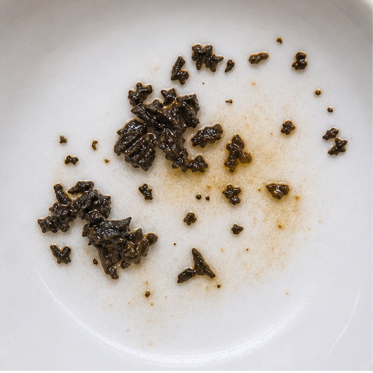 Sphinx tea leaf reading cup example