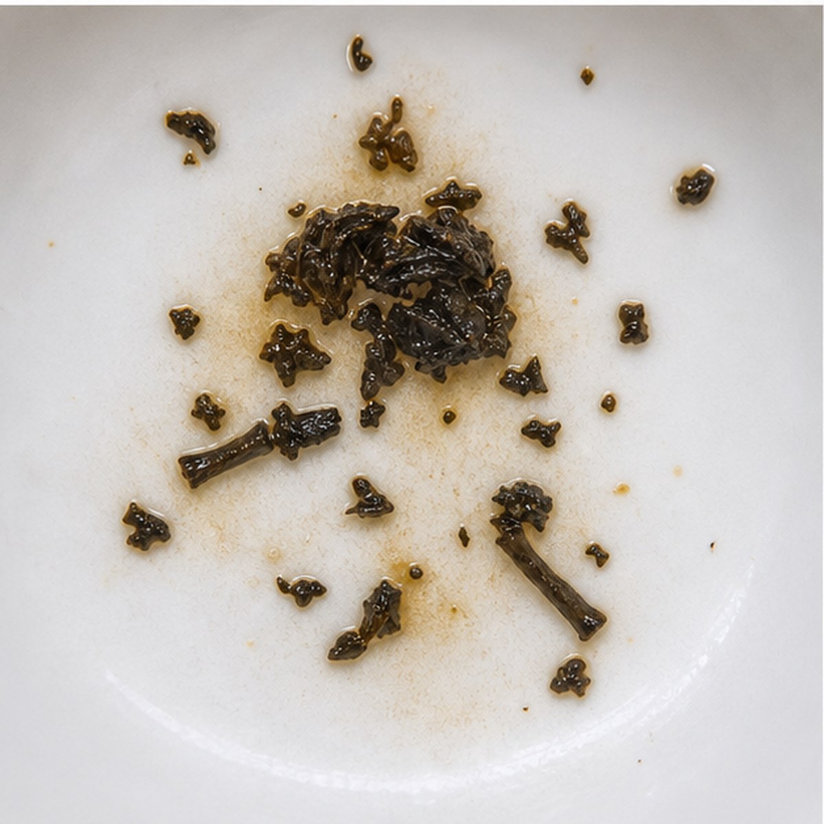 Sphinx tea leaves cup variation two