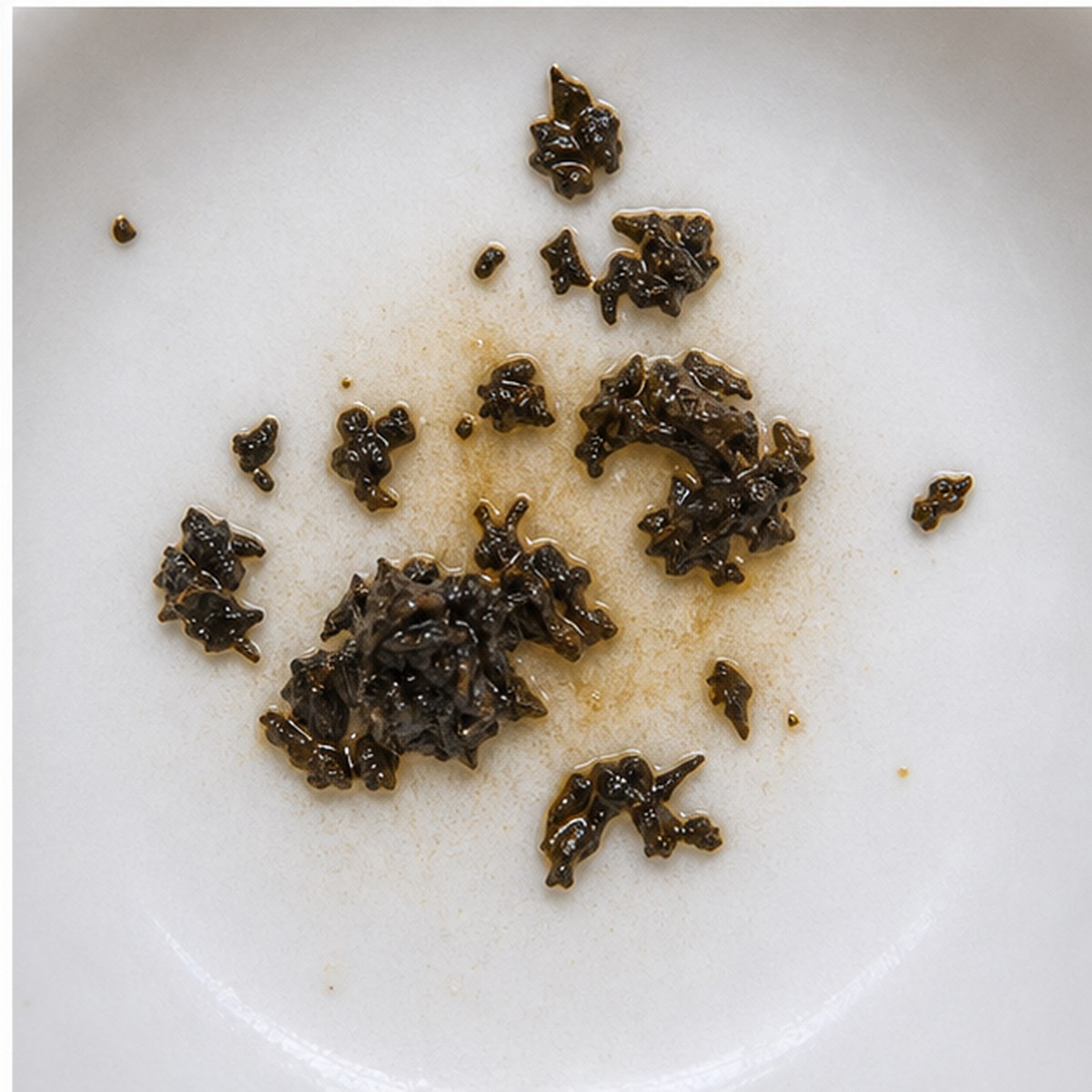 Sphinx tea leaves cup variation three