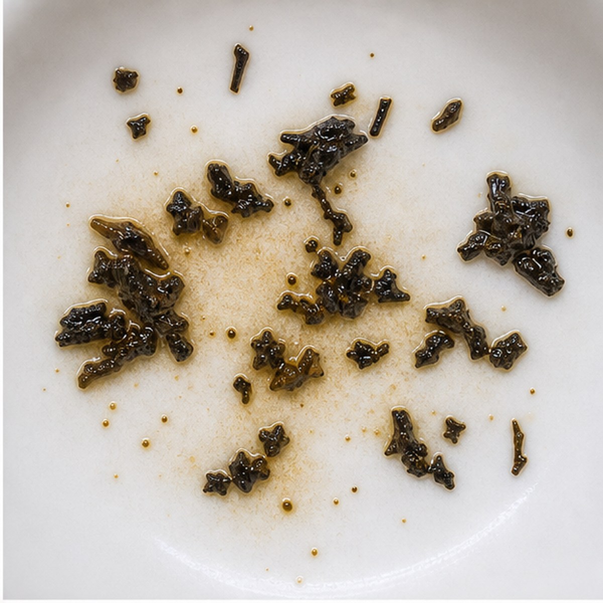 Spider tea leaves cup variation one