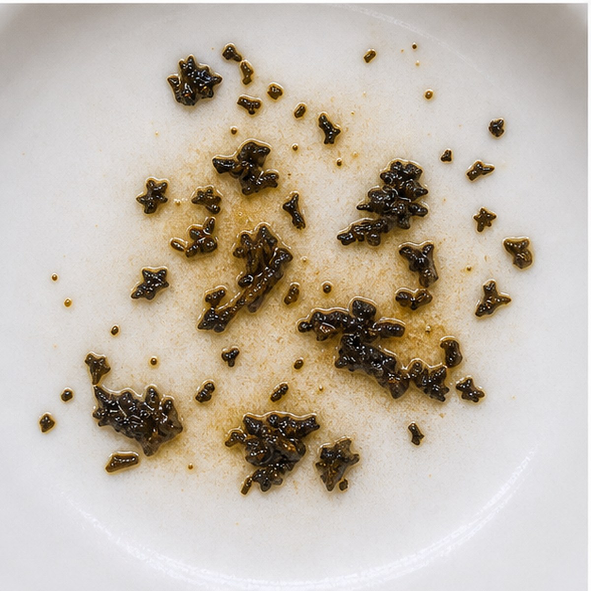 Spider tea leaves cup variation two