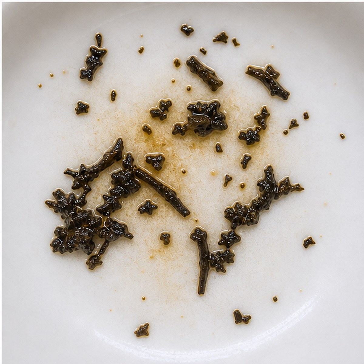 Spider tea leaves cup variation three