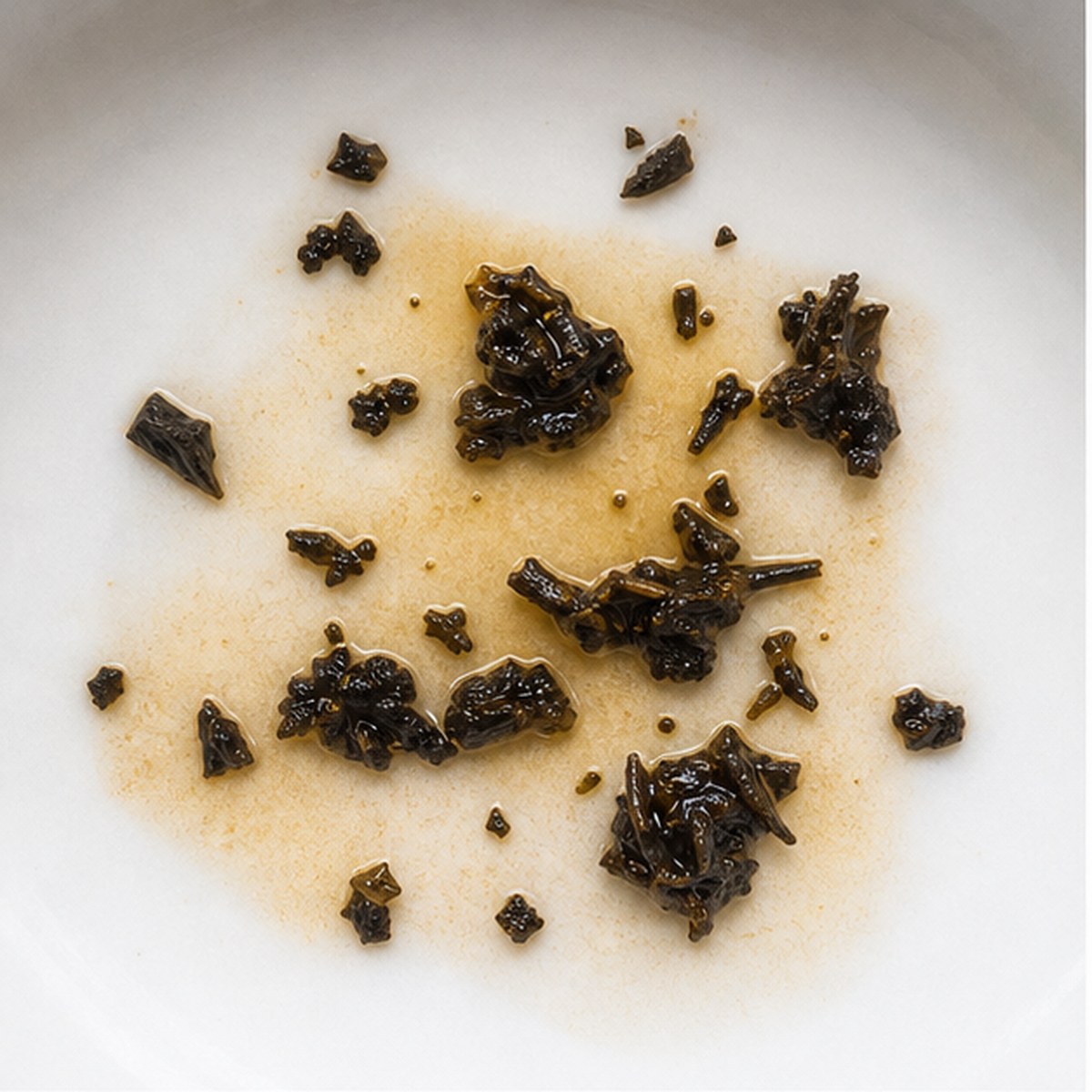 Squirrel tea leaf reading cup example