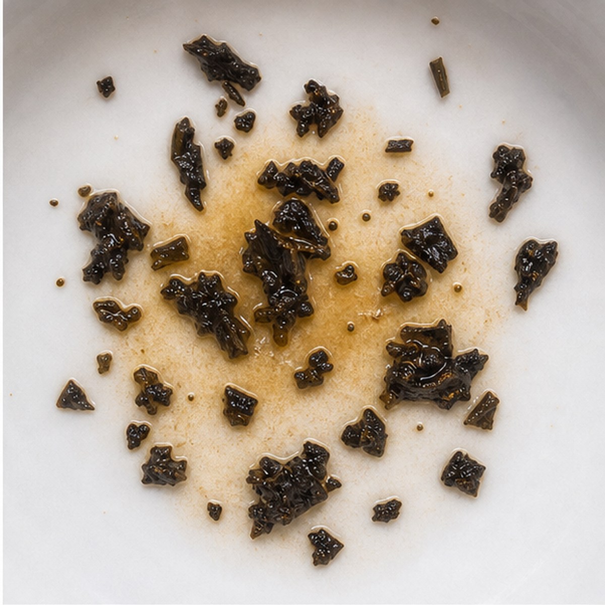 Squirrel tea leaves cup variation one