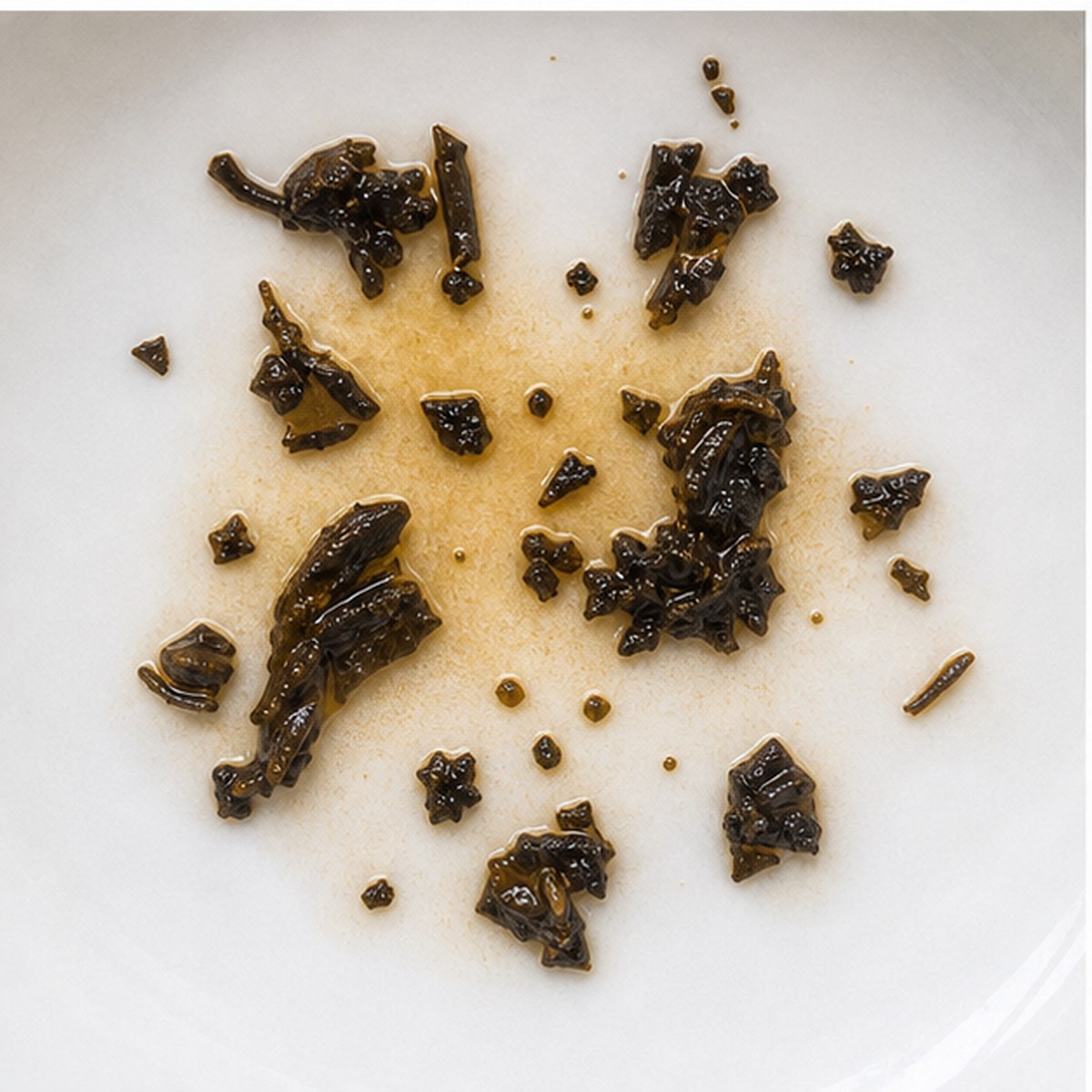 Squirrel tea leaves cup variation two