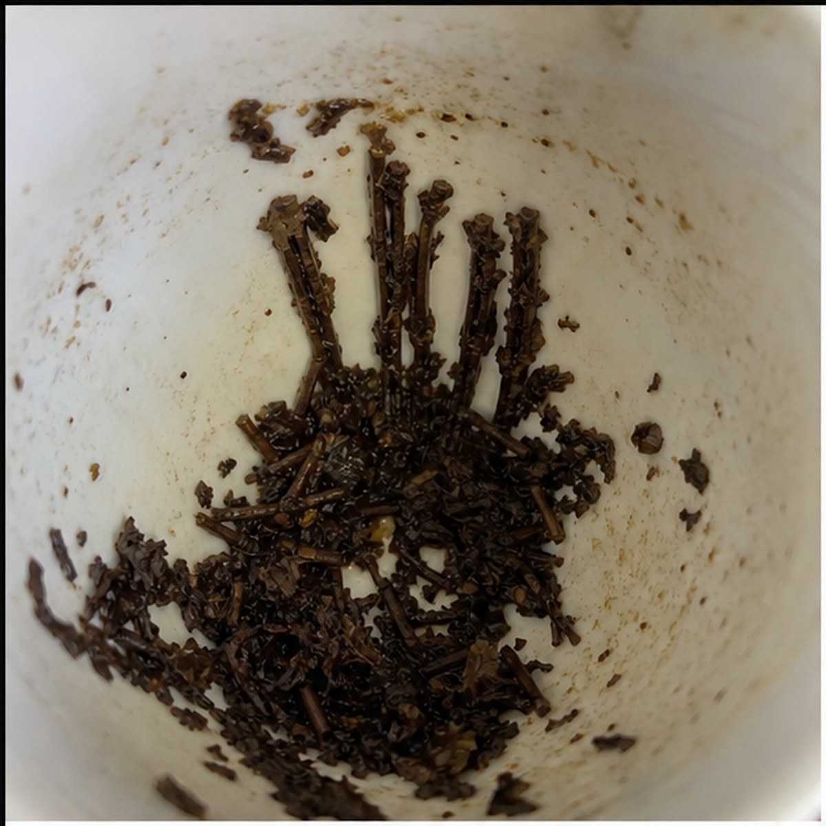 Stocks tea leaf reading cup example