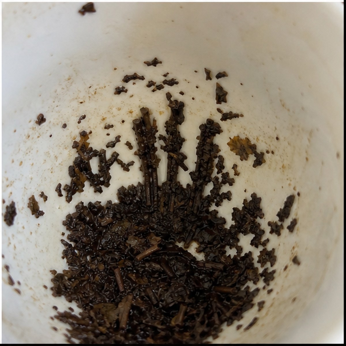 Stocks tea leaves cup variation three