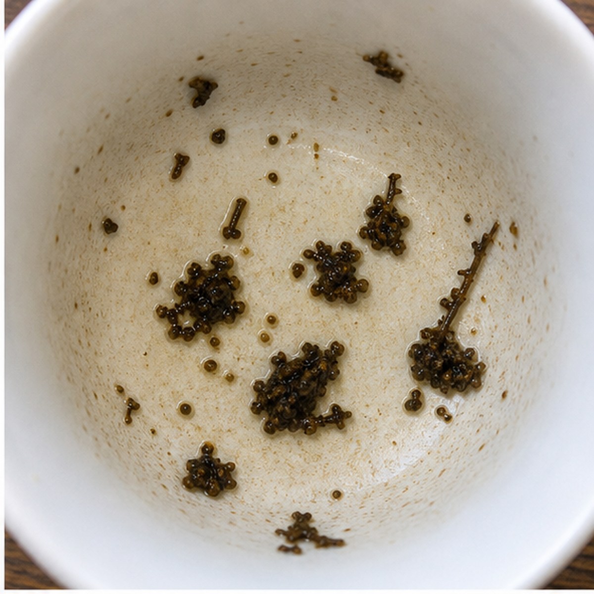 Strawberries tea leaves cup variation one