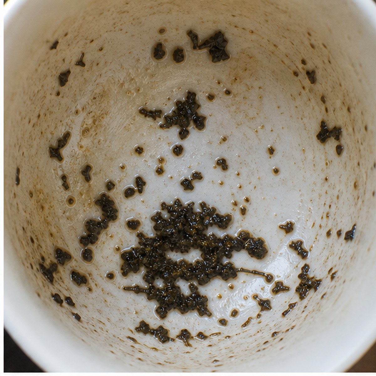 Timber tea leaves cup variation one