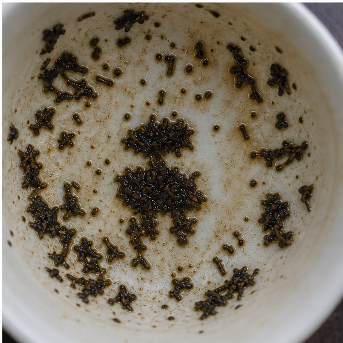 Topiary Work tea leaves cup variation three