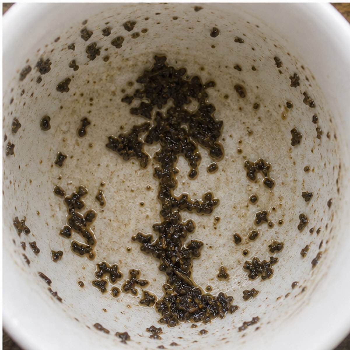 Tree tea leaves cup variation three
