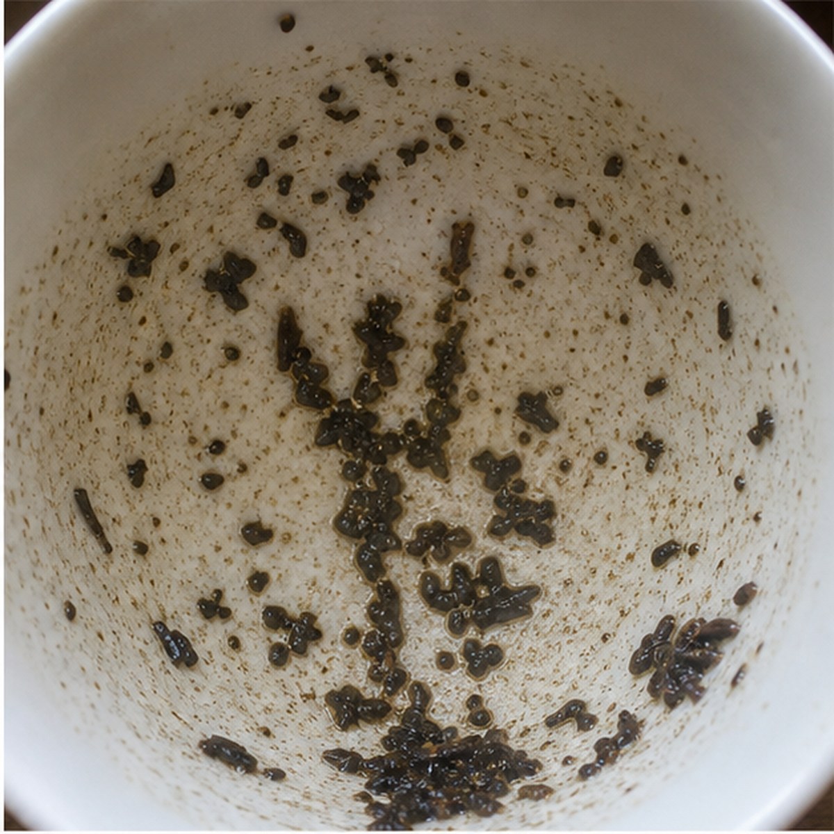 Trident tea leaves cup variation one