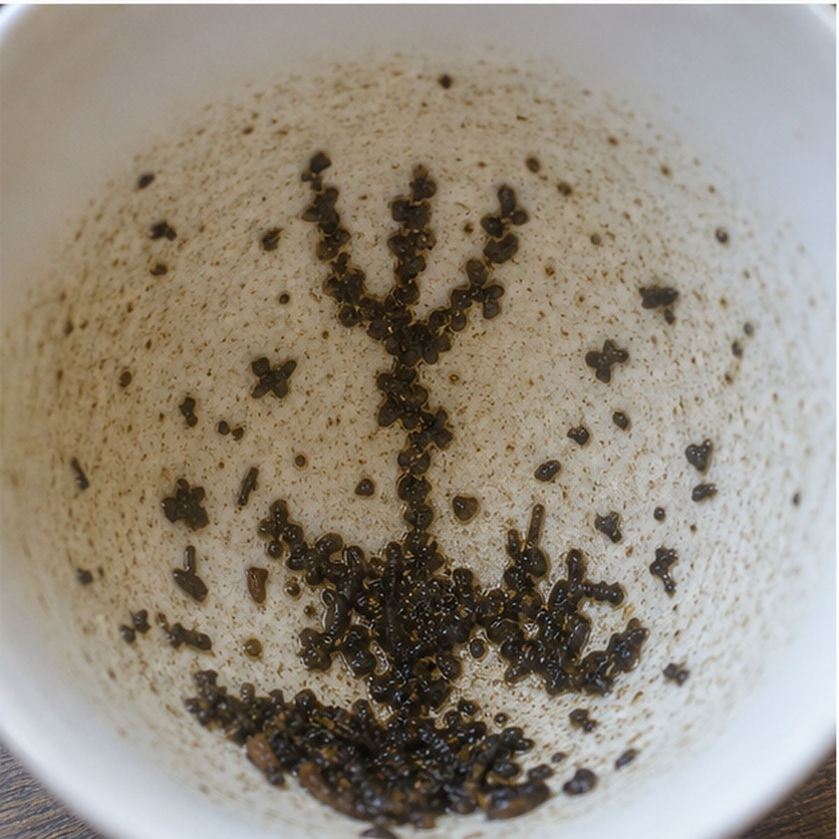 Trident tea leaves cup variation two