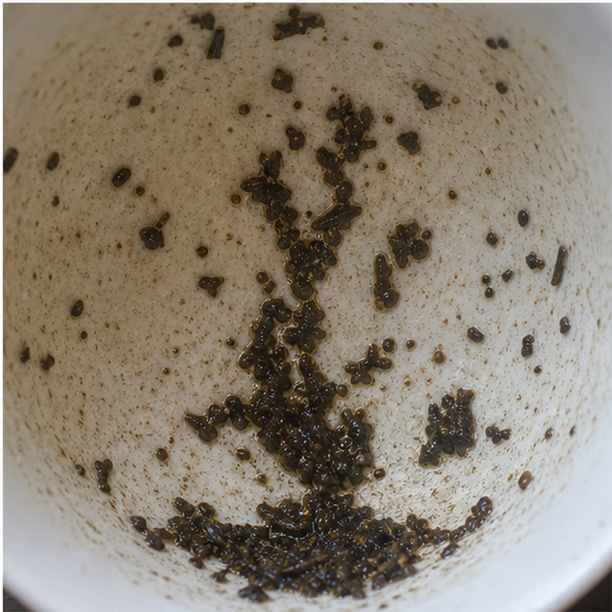 Trident tea leaves cup variation three