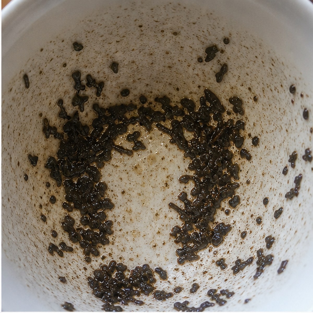 Triumphal Arch tea leaves cup variation one