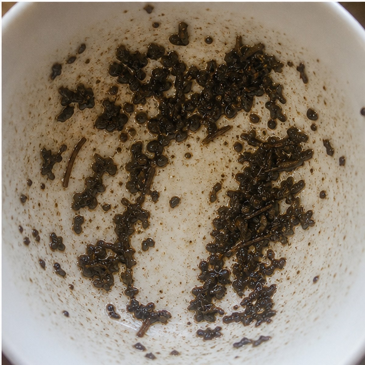 Triumphal Arch tea leaves cup variation three