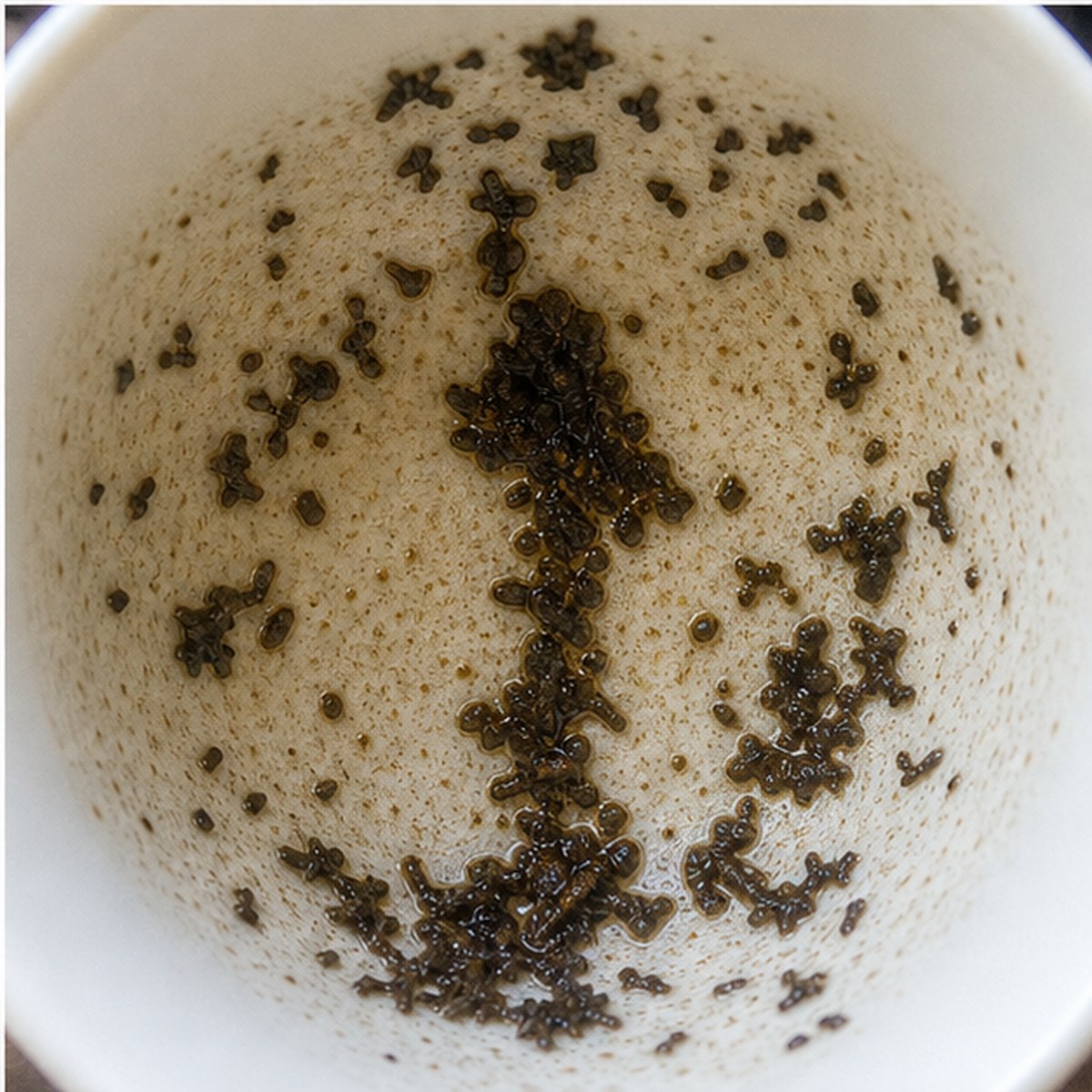 Trowel tea leaves cup variation three