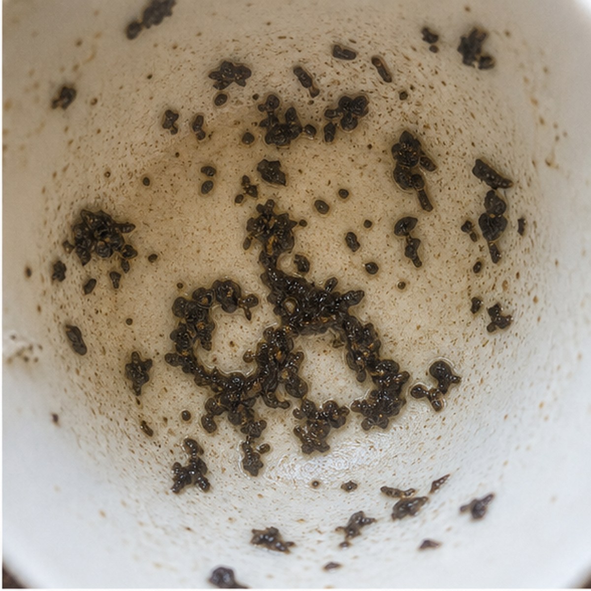 True Lover'S Knot tea leaves cup variation one