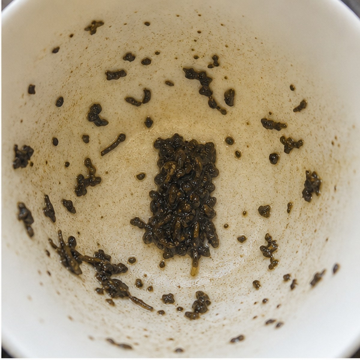 Trunk tea leaves cup variation one