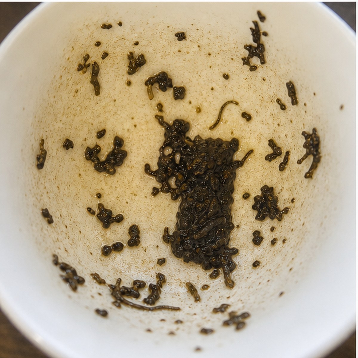 Trunk tea leaves cup variation two