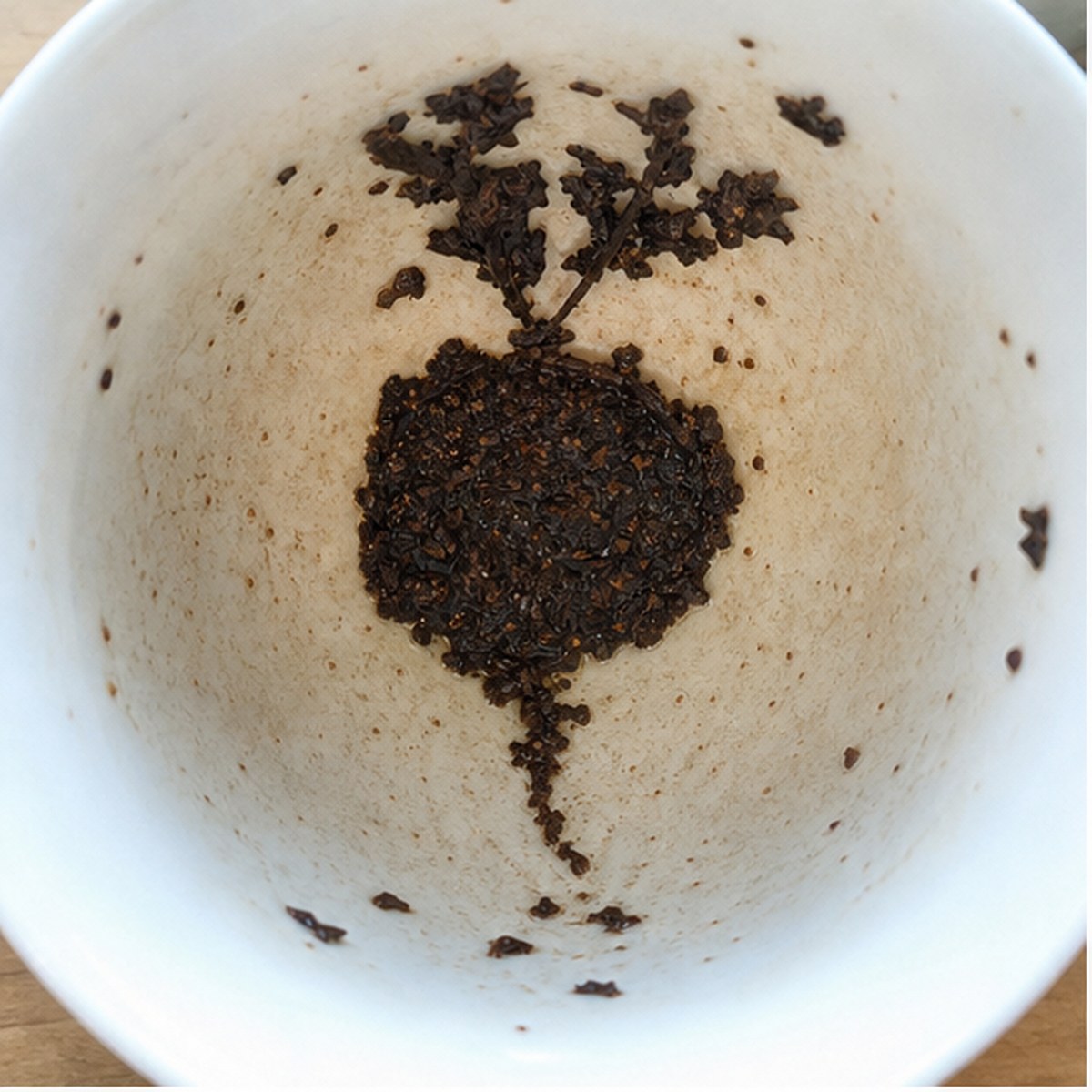 Turnip tea leaf reading cup example
