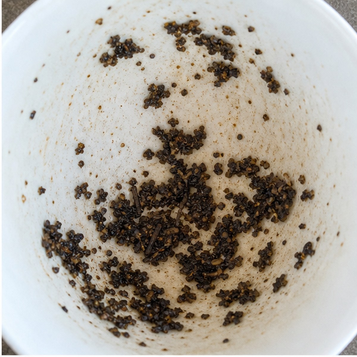 Turtle tea leaves cup variation one